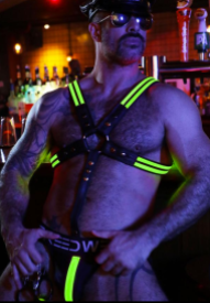 breedwell-glow-cross-harness